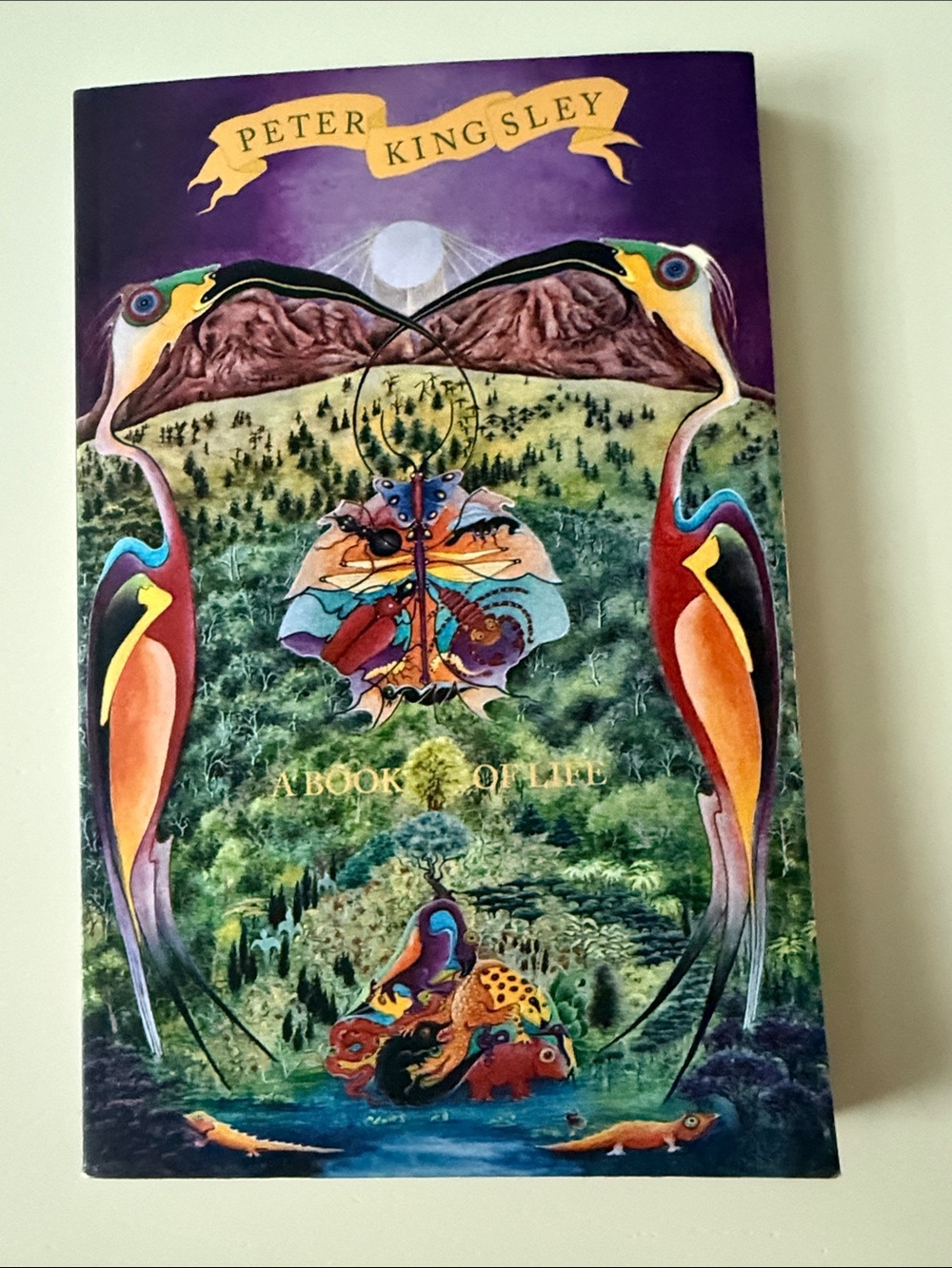 A Book of Life by Peter Kingsley - Colorful Illustrated Hardcover